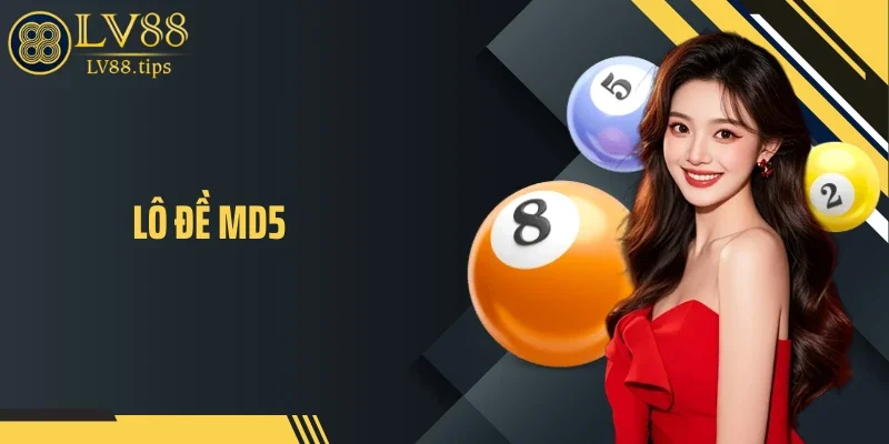 Lô Đề MD5 - Hé Lộ Cơ Chế Mã Hóa Đứng Sau Kết Quả Xổ Số