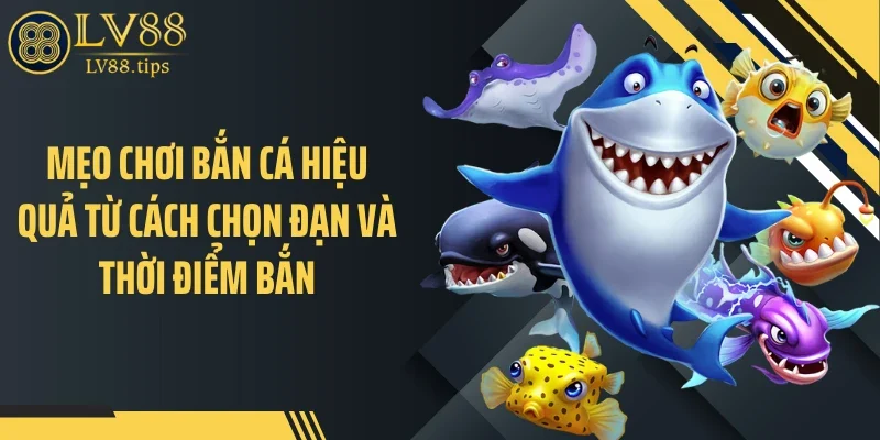 Mẹo chơi bắn cá hiệu quả từ cách chọn đạn và thời điểm bắn